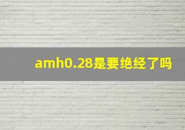 amh0.28是要绝经了吗