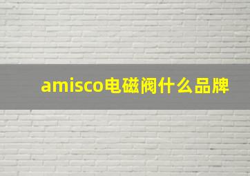 amisco电磁阀什么品牌