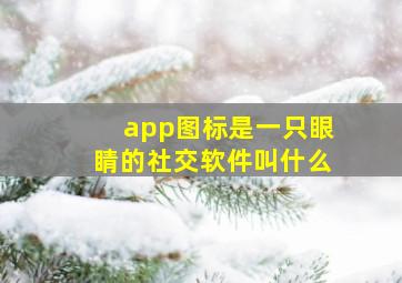 app图标是一只眼睛的社交软件叫什么