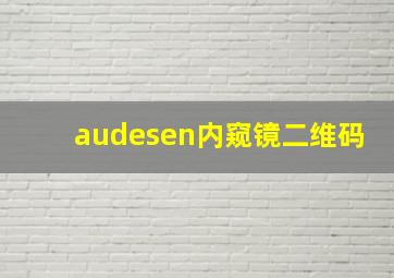 audesen内窥镜二维码