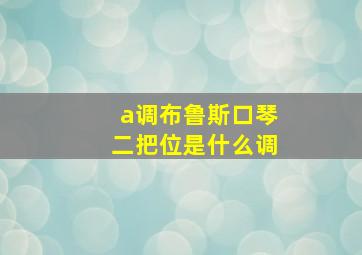 a调布鲁斯口琴二把位是什么调