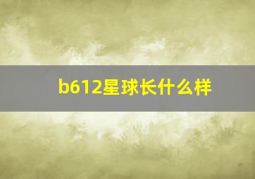 b612星球长什么样