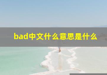 bad中文什么意思是什么