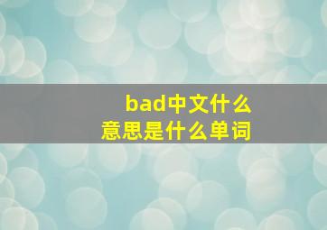 bad中文什么意思是什么单词