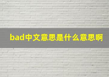 bad中文意思是什么意思啊