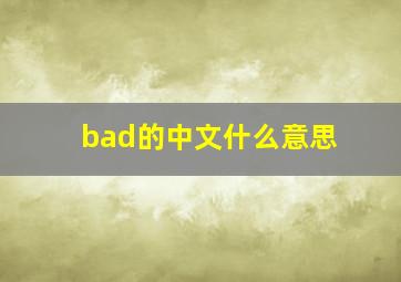 bad的中文什么意思