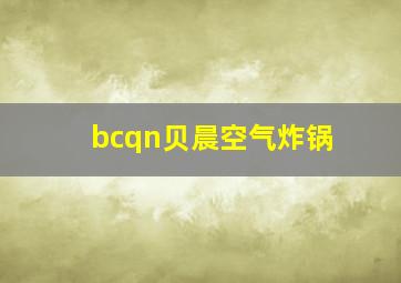 bcqn贝晨空气炸锅