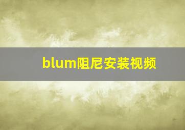 blum阻尼安装视频