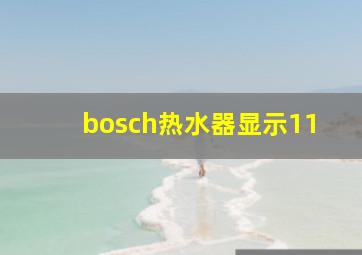 bosch热水器显示11