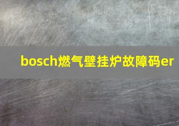 bosch燃气壁挂炉故障码er