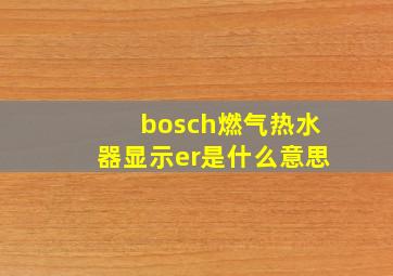 bosch燃气热水器显示er是什么意思