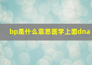 bp是什么意思医学上面dna