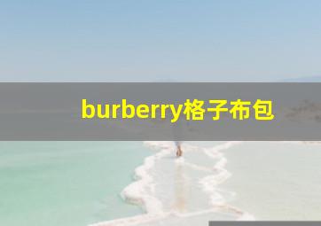 burberry格子布包