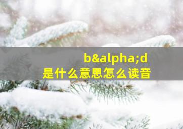 bαd是什么意思怎么读音