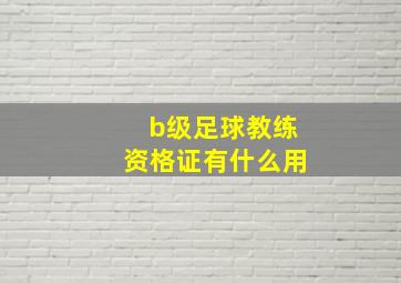 b级足球教练资格证有什么用