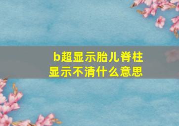 b超显示胎儿脊柱显示不清什么意思