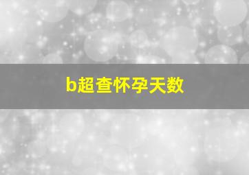 b超查怀孕天数