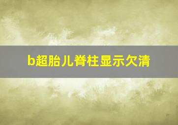 b超胎儿脊柱显示欠清