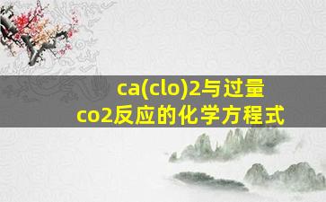 ca(clo)2与过量co2反应的化学方程式