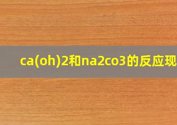 ca(oh)2和na2co3的反应现象