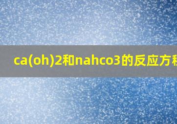 ca(oh)2和nahco3的反应方程式