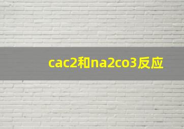 cac2和na2co3反应