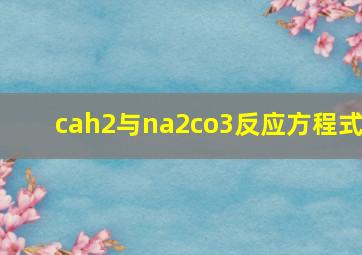 cah2与na2co3反应方程式