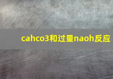 cahco3和过量naoh反应