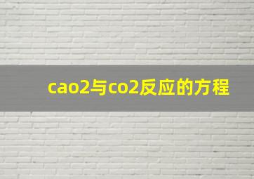 cao2与co2反应的方程