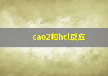 cao2和hcl反应