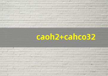 caoh2+cahco32