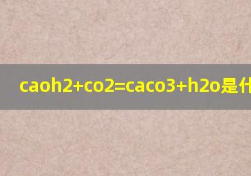 caoh2+co2=caco3+h2o是什么反应