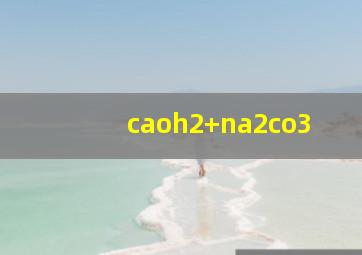 caoh2+na2co3