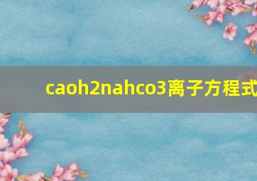 caoh2nahco3离子方程式