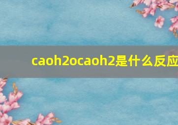 caoh2ocaoh2是什么反应