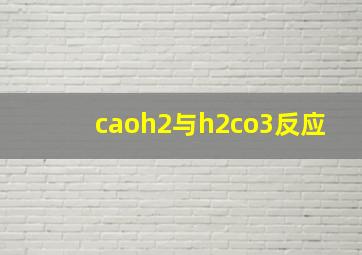 caoh2与h2co3反应