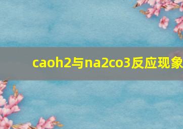 caoh2与na2co3反应现象