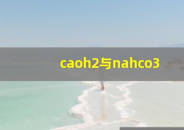 caoh2与nahco3