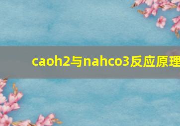 caoh2与nahco3反应原理