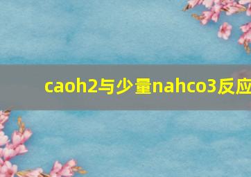 caoh2与少量nahco3反应