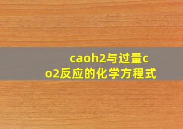 caoh2与过量co2反应的化学方程式