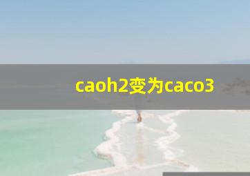 caoh2变为caco3