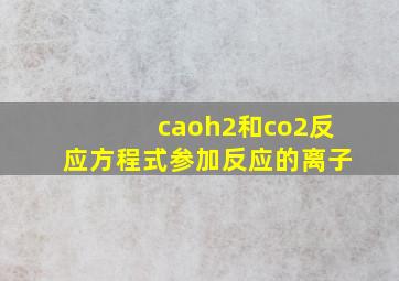 caoh2和co2反应方程式参加反应的离子