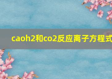 caoh2和co2反应离子方程式