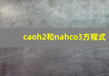 caoh2和nahco3方程式