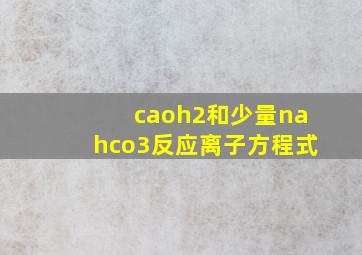 caoh2和少量nahco3反应离子方程式