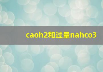 caoh2和过量nahco3