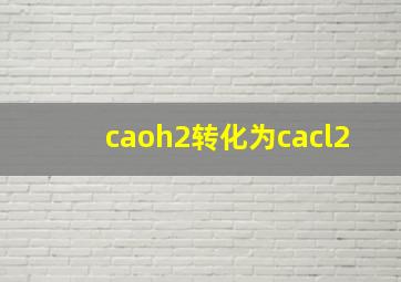 caoh2转化为cacl2