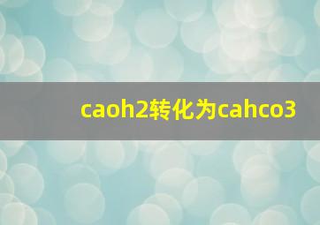 caoh2转化为cahco3