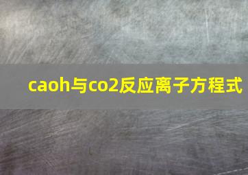 caoh与co2反应离子方程式